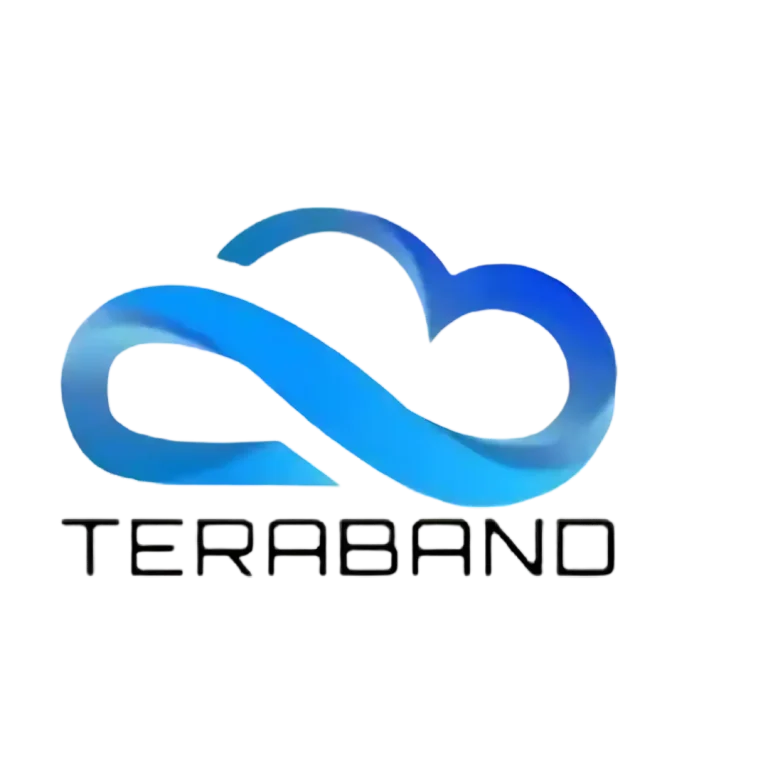 Teraband Logo