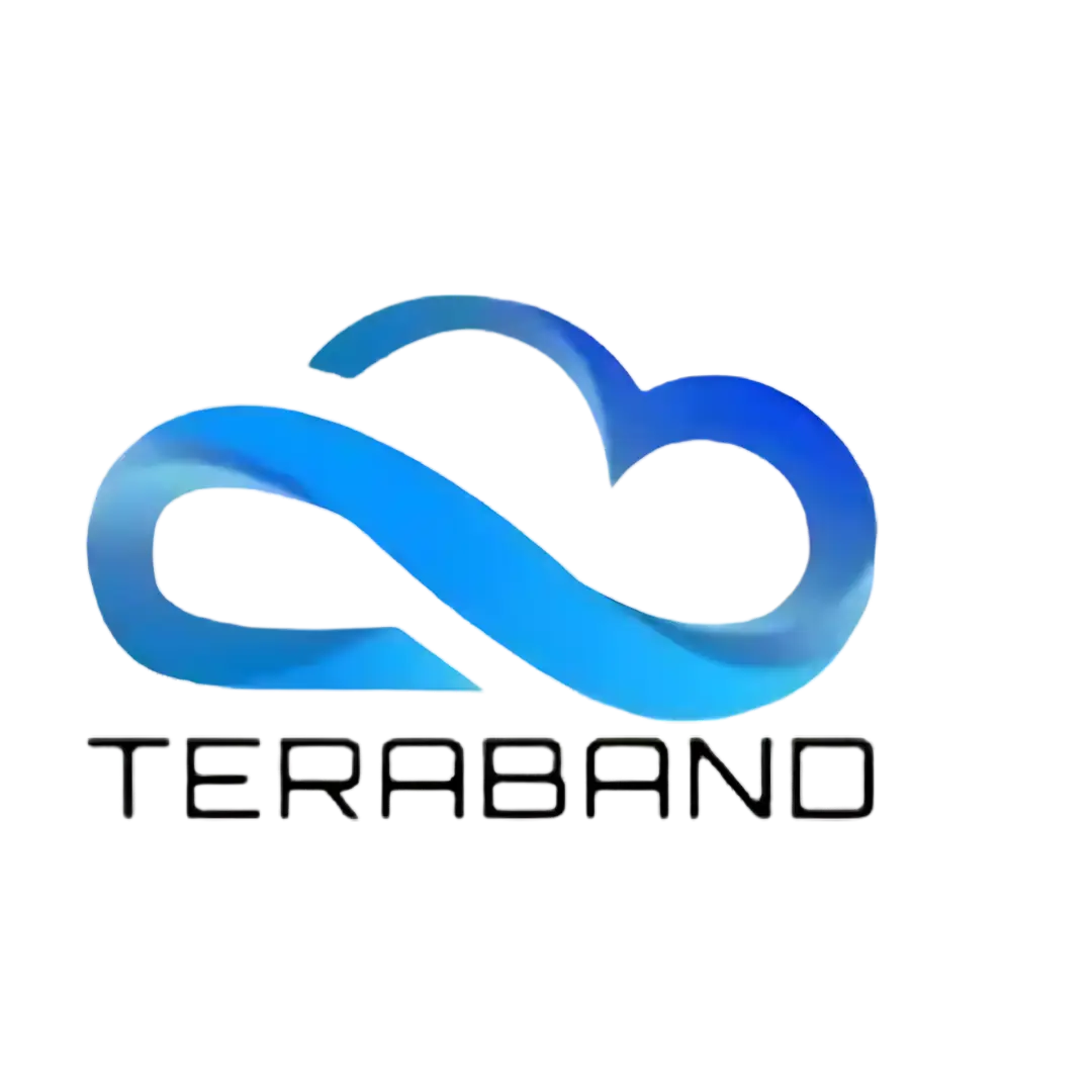 Teraband Logo